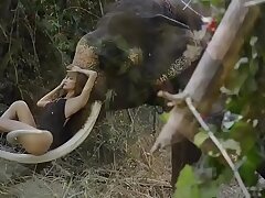 Thai MILF Model Gets Laid